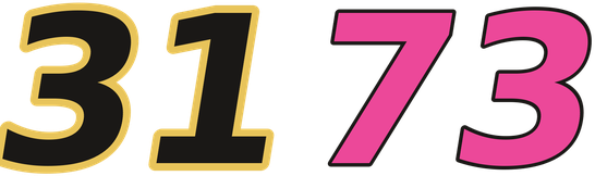 3173 โลโก้